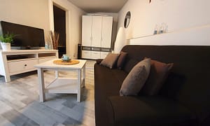 Wohnzimmer mit Sofa & TV